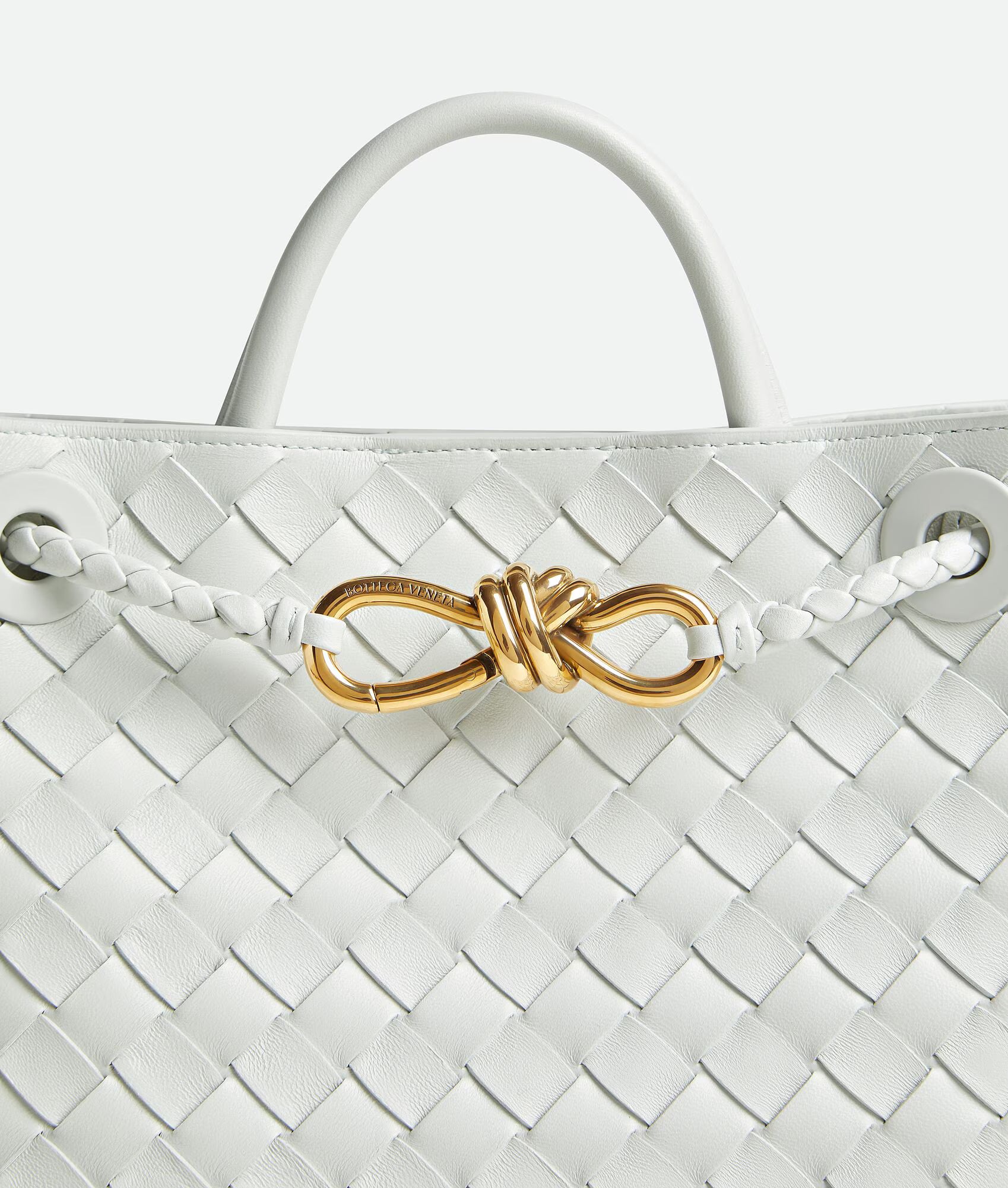 Bottega Veneta Small Andiamo Top Handle Bag