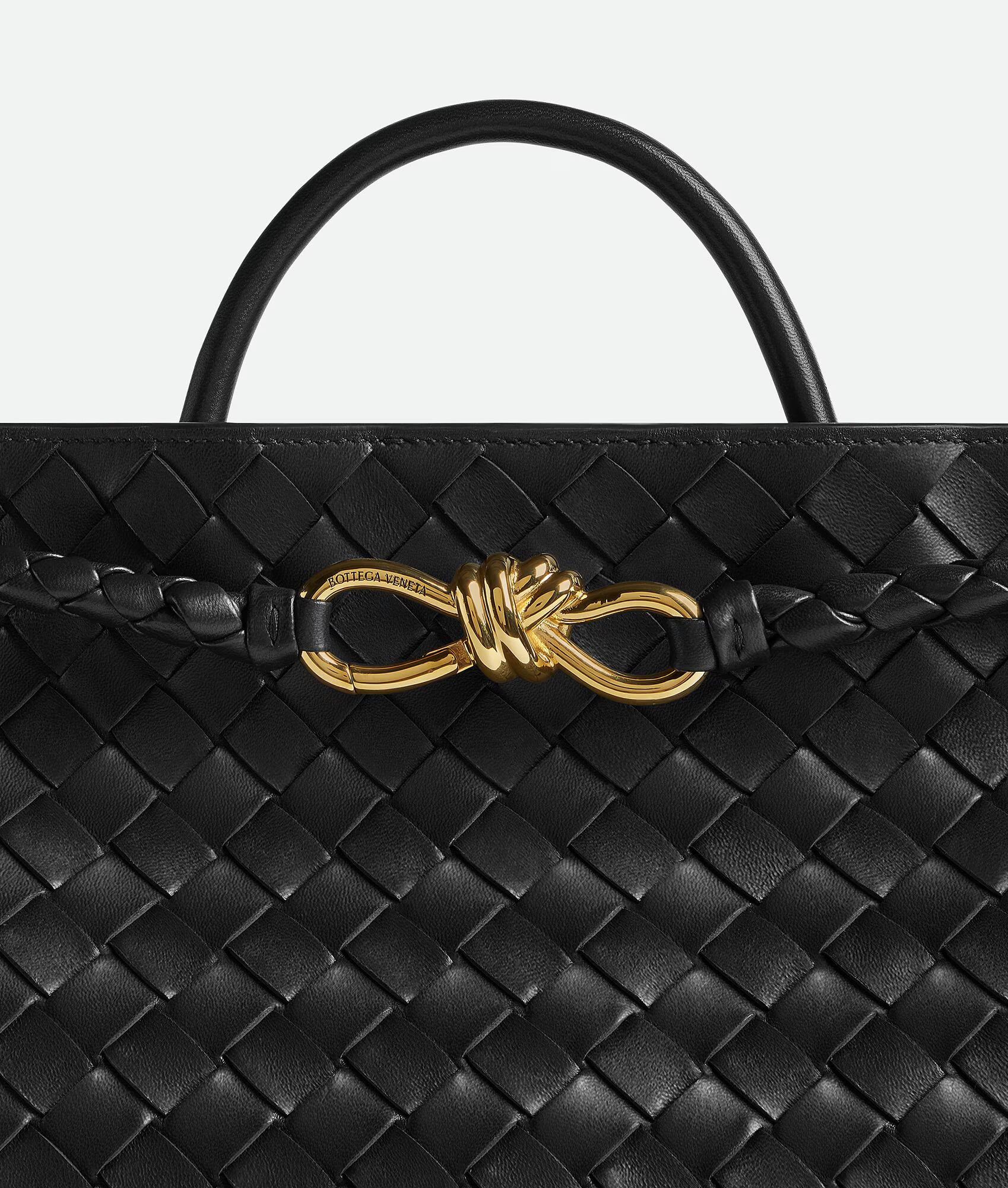 Bottega Veneta Small Andiamo Top Handle Bag